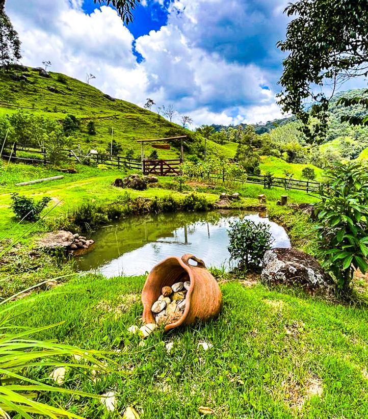 Chale Araucaria- Vale Das Pedras Mg Sapucai-Mirim Ngoại thất bức ảnh
